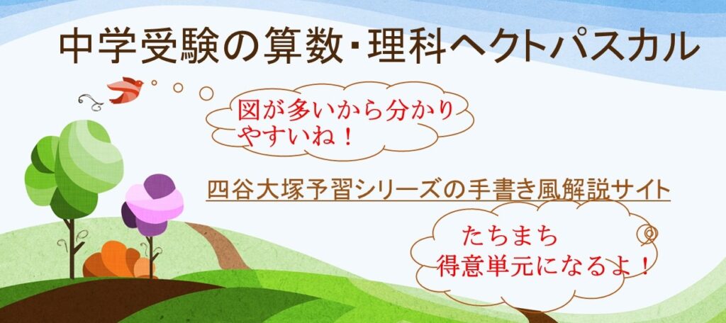 とりちがえの問題 差集め算 の研究